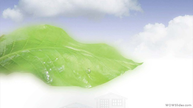 Eurovudas Product Range