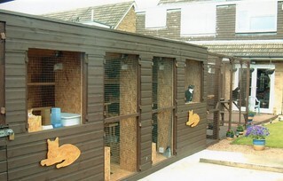 Example timber building