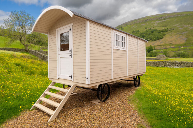 A small beige shepherds hut on wheels with white trim and a curved roof in a field of yellow flowers and green grass with a hill in the background.